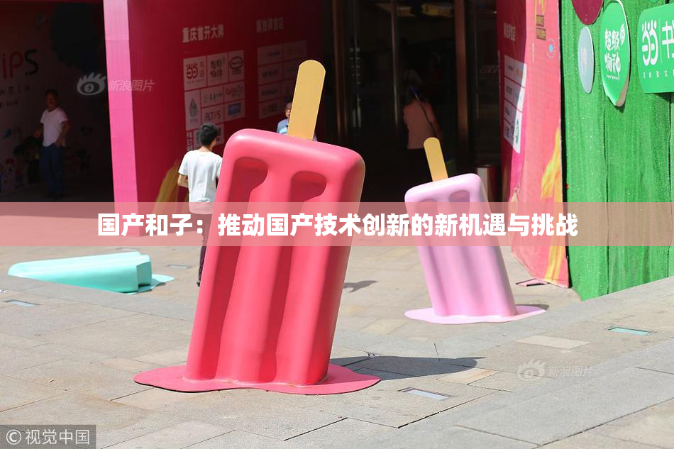 国产和子：推动国产技术创新的新机遇与挑战
