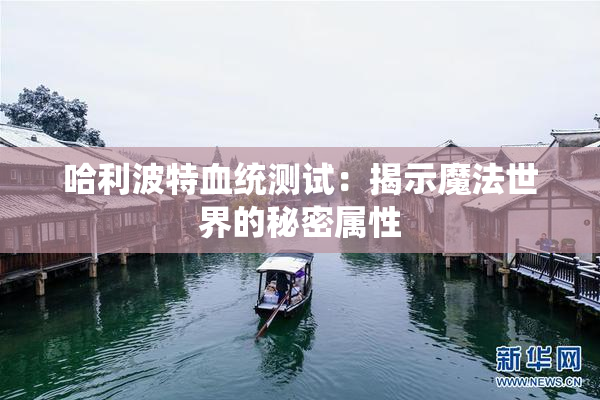 哈利波特血统测试：揭示魔法世界的秘密属性