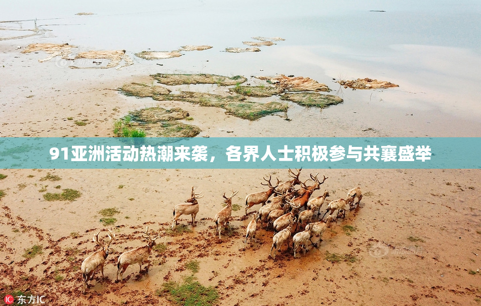 91亚洲活动热潮来袭，各界人士积极参与共襄盛举