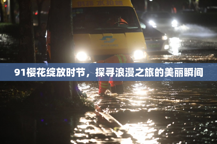 91樱花绽放时节，探寻浪漫之旅的美丽瞬间