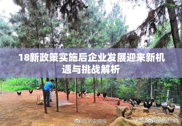 18新政策实施后企业发展迎来新机遇与挑战解析