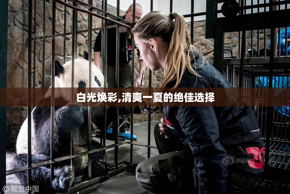 白光焕彩,清爽一夏的绝佳选择