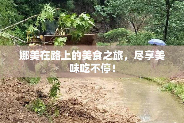 娜美在路上的美食之旅，尽享美味吃不停！