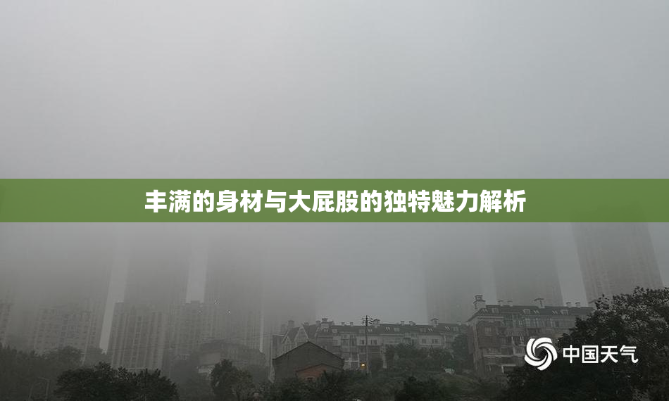 丰满的身材与大屁股的独特魅力解析