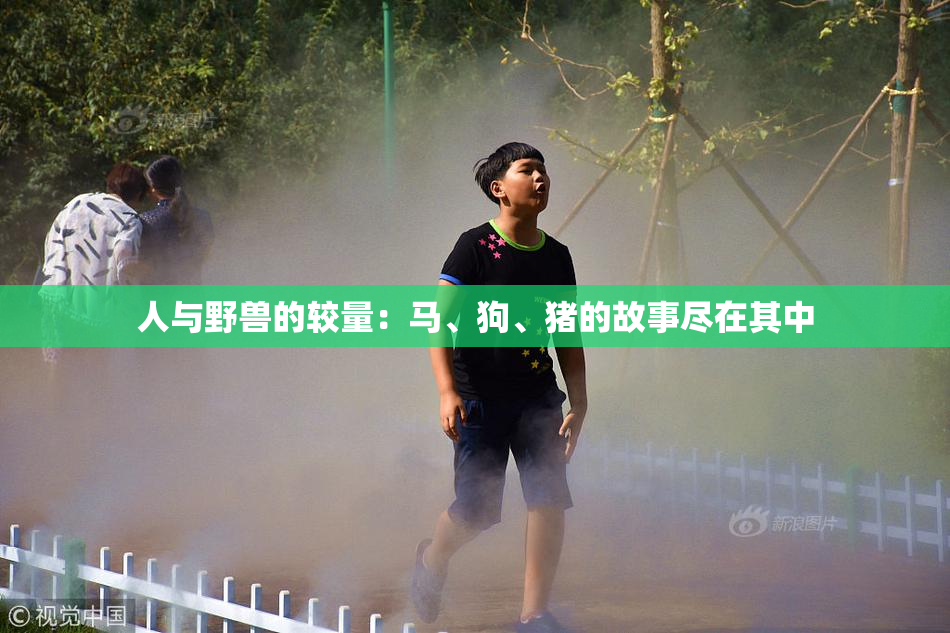 人与野兽的较量：马、狗、猪的故事尽在其中