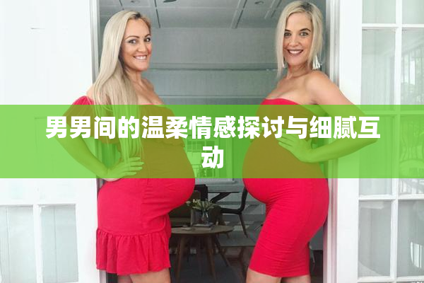 男男间的温柔情感探讨与细腻互动