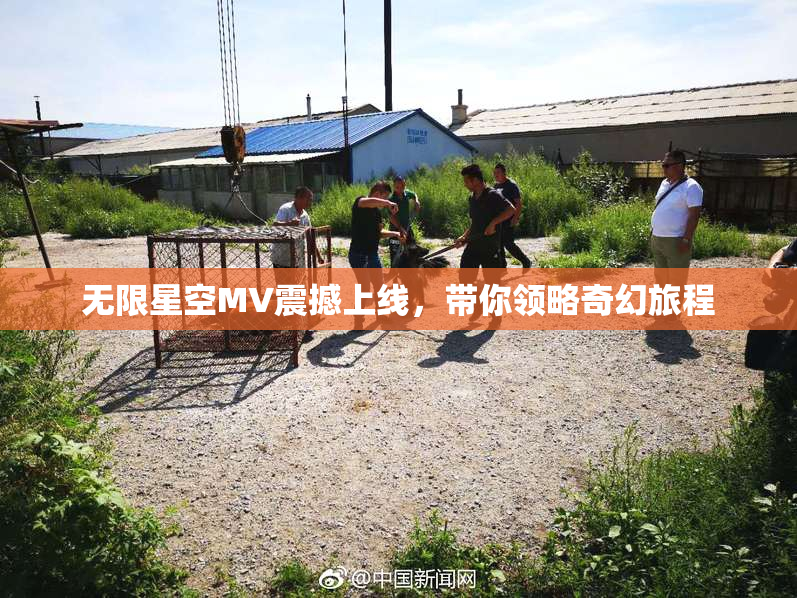 无限星空MV震撼上线，带你领略奇幻旅程