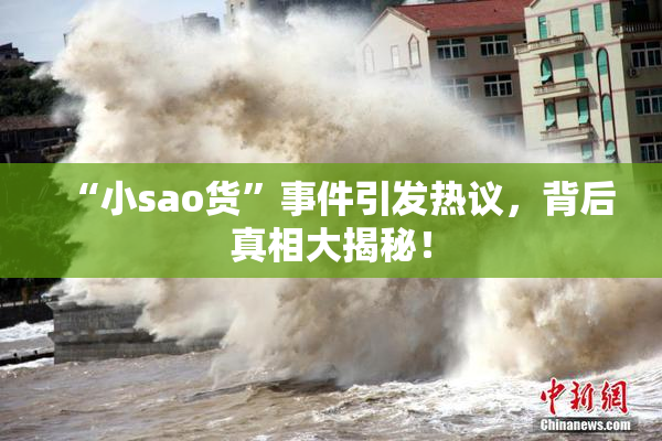 “小sao货”事件引发热议，背后真相大揭秘！