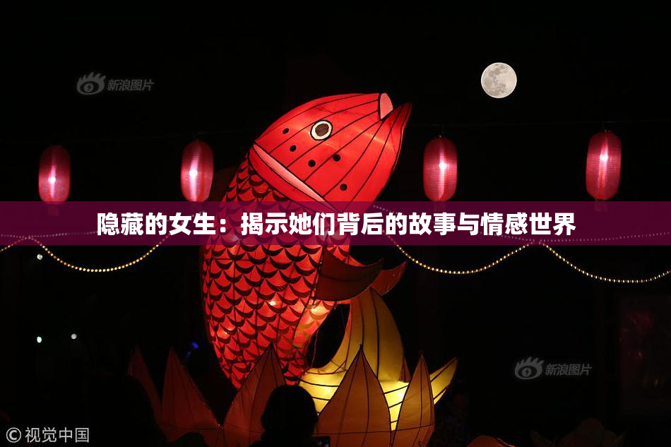 隐藏的女生：揭示她们背后的故事与情感世界