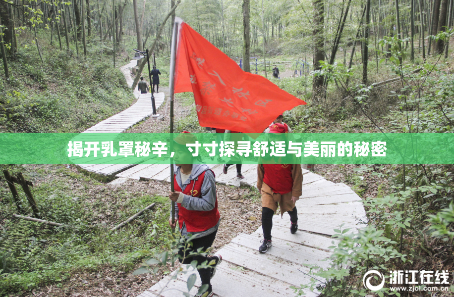 揭开乳罩秘辛，寸寸探寻舒适与美丽的秘密