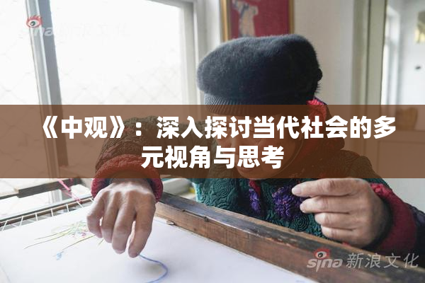 《中观》：深入探讨当代社会的多元视角与思考