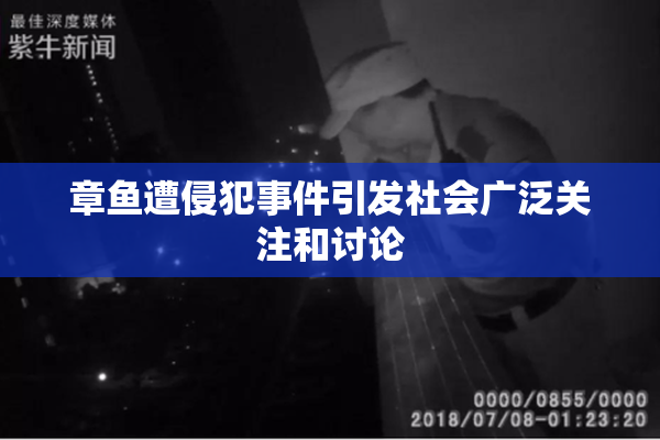 章鱼遭侵犯事件引发社会广泛关注和讨论