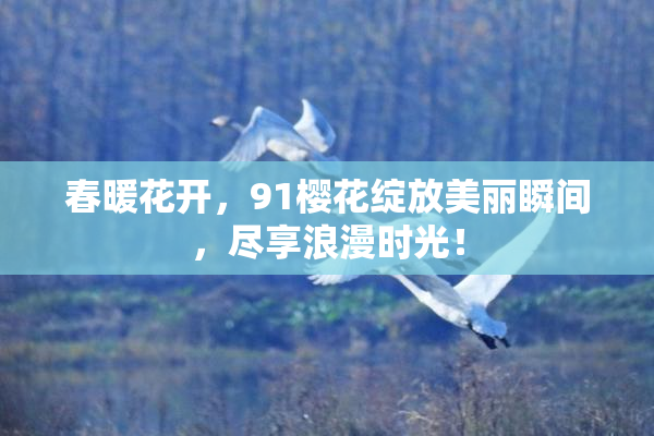春暖花开，91樱花绽放美丽瞬间，尽享浪漫时光！