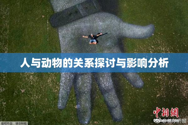人与动物的关系探讨与影响分析