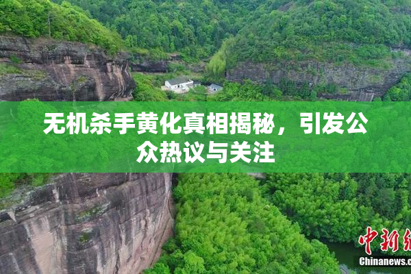 无机杀手黄化真相揭秘，引发公众热议与关注