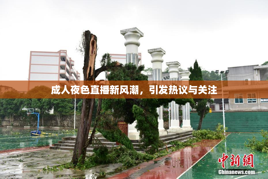 成人夜色直播新风潮，引发热议与关注