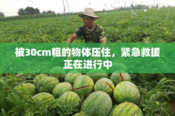 被30cm粗的物体压住，紧急救援正在进行中