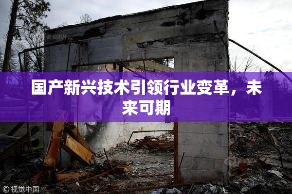 国产新兴技术引领行业变革，未来可期