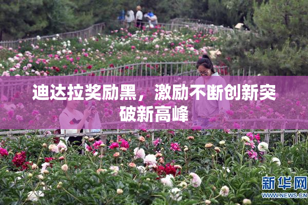 迪达拉奖励黑，激励不断创新突破新高峰
