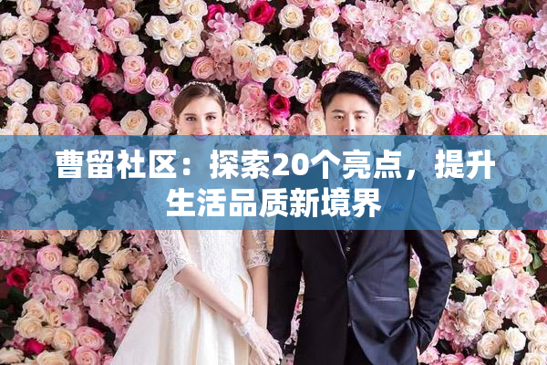 曹留社区：探索20个亮点，提升生活品质新境界