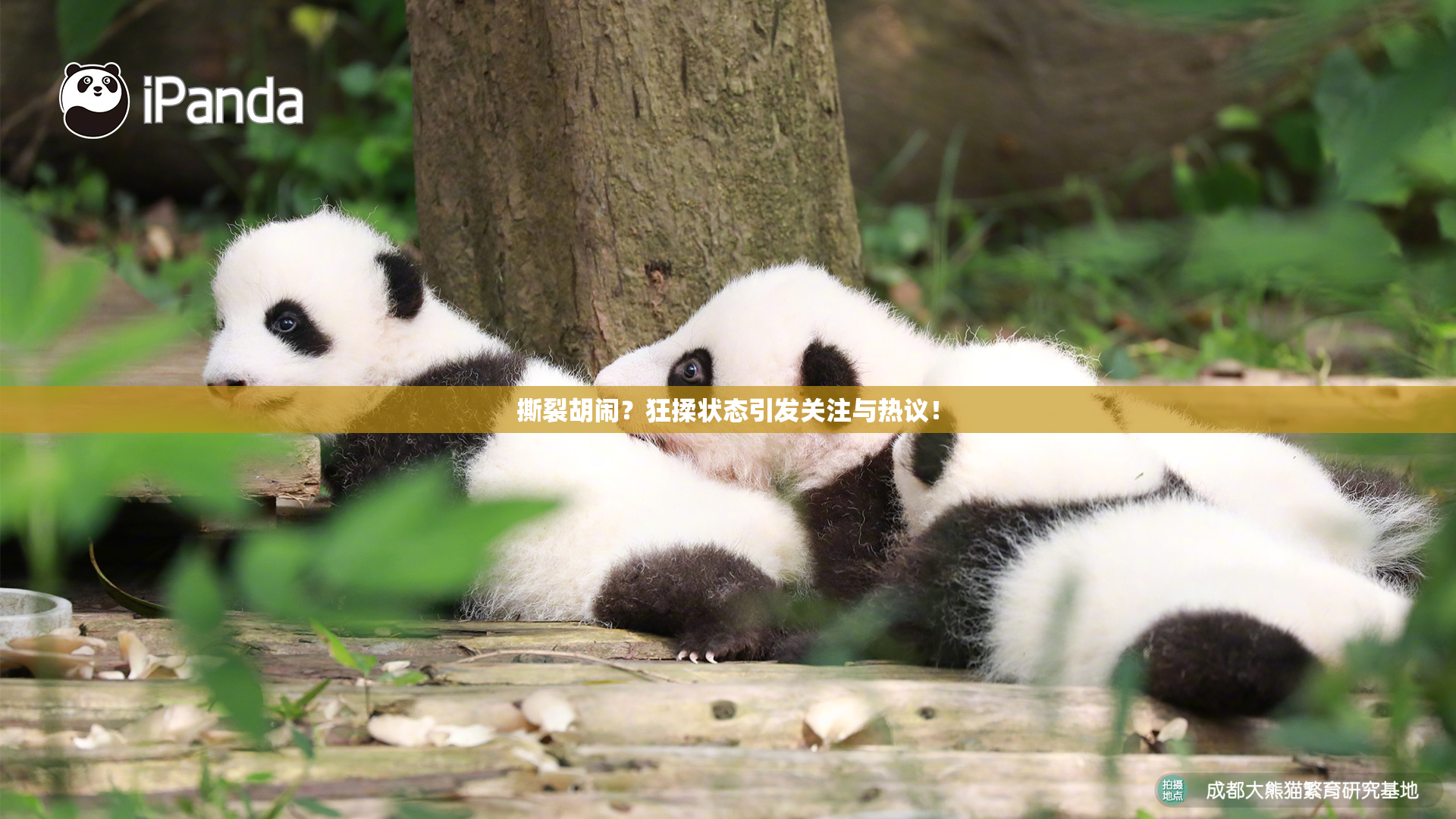 撕裂胡闹？狂揉状态引发关注与热议！