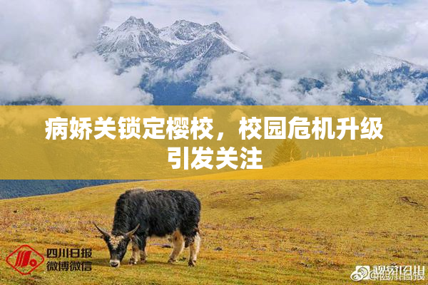 病娇关锁定樱校，校园危机升级引发关注