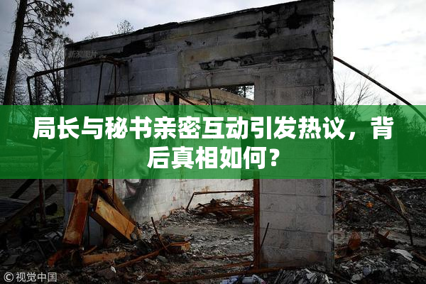 局长与秘书亲密互动引发热议，背后真相如何？