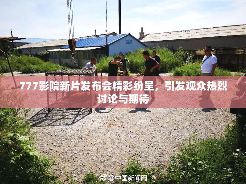 777影院新片发布会精彩纷呈，引发观众热烈讨论与期待