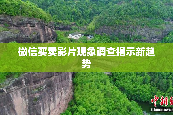 微信买卖影片现象调查揭示新趋势