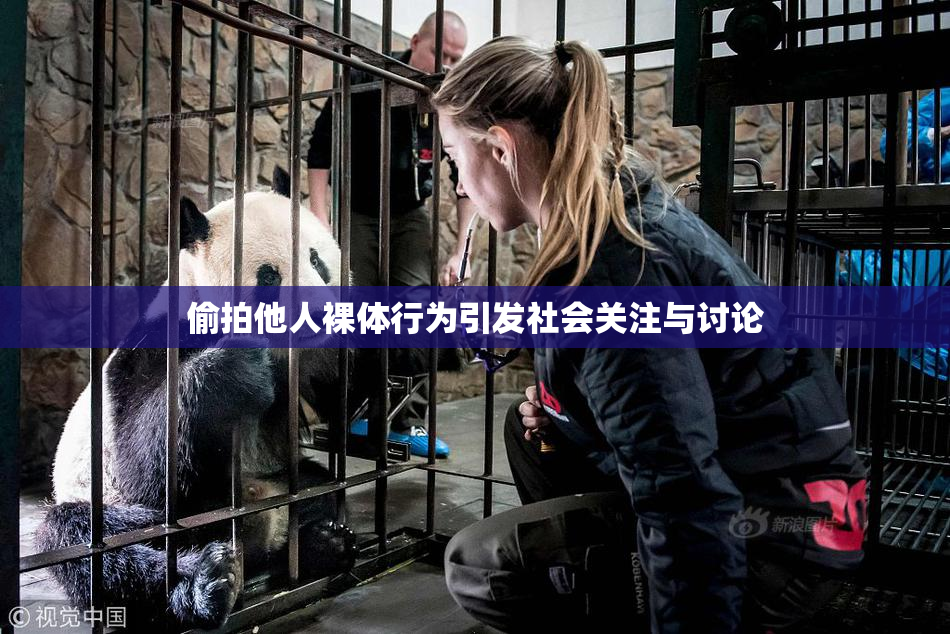 偷拍他人裸体行为引发社会关注与讨论