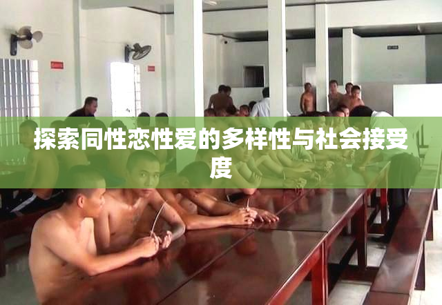 探索同性恋性爱的多样性与社会接受度