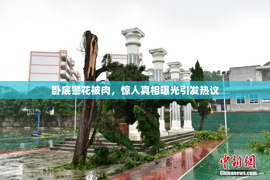 卧底警花被肉，惊人真相曝光引发热议