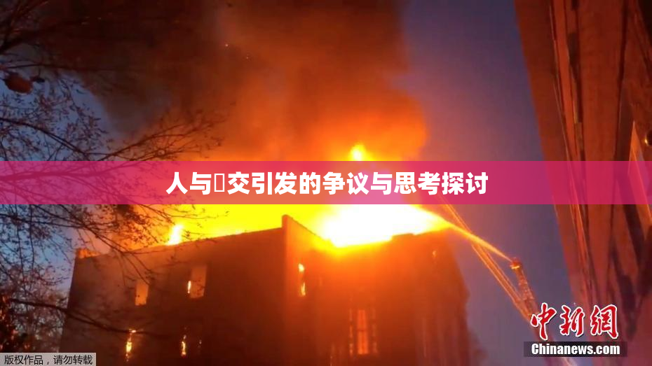 人与嘼交引发的争议与思考探讨