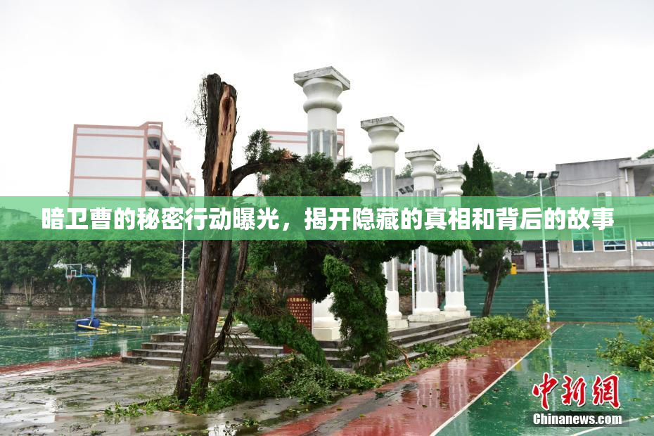 暗卫曹的秘密行动曝光，揭开隐藏的真相和背后的故事