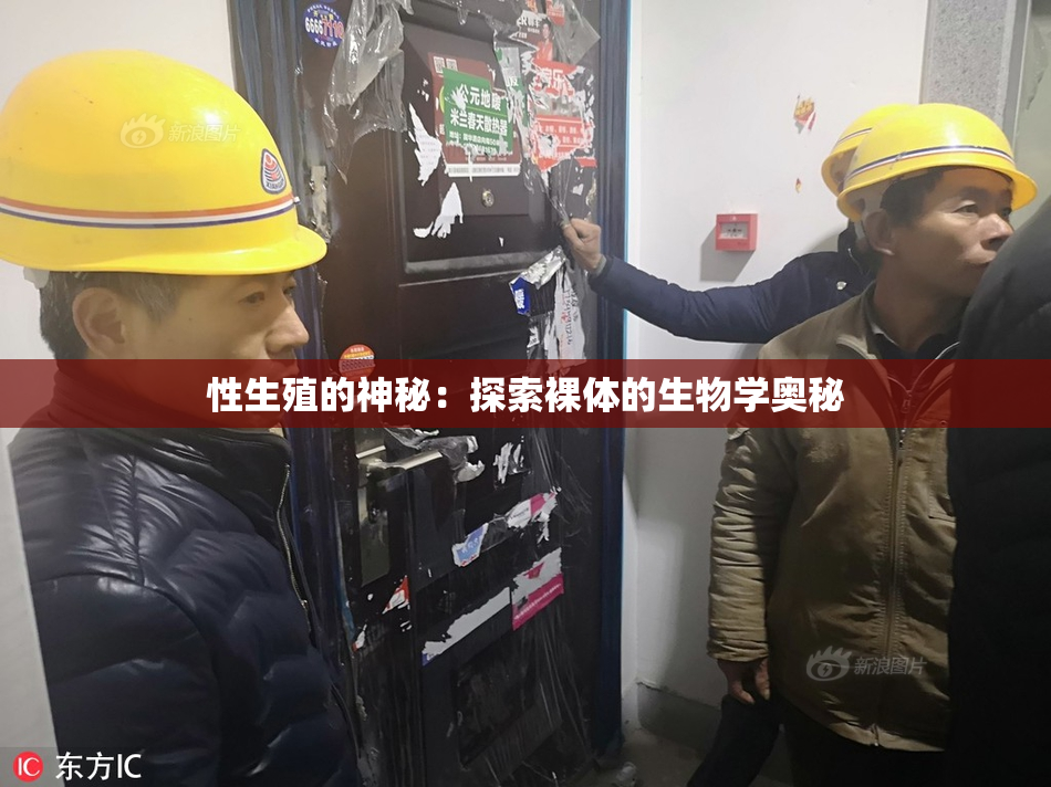 性生殖的神秘：探索裸体的生物学奥秘