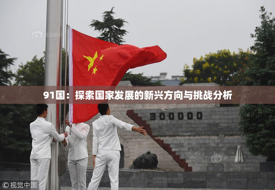 91国：探索国家发展的新兴方向与挑战分析