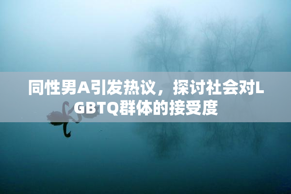 同性男A引发热议，探讨社会对LGBTQ群体的接受度