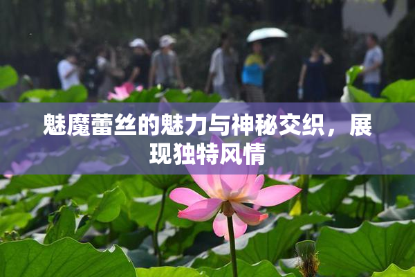 魅魔蕾丝的魅力与神秘交织，展现独特风情