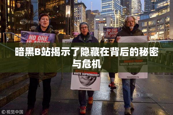暗黑B站揭示了隐藏在背后的秘密与危机
