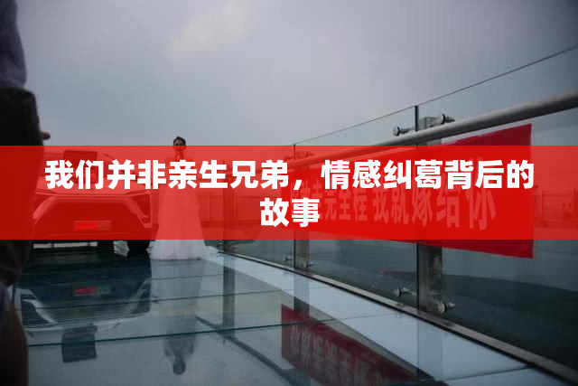 我们并非亲生兄弟，情感纠葛背后的故事