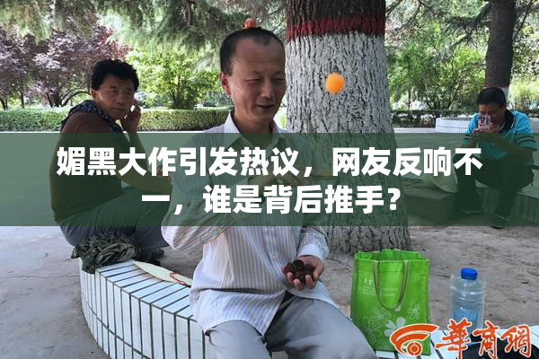 媚黑大作引发热议，网友反响不一，谁是背后推手？
