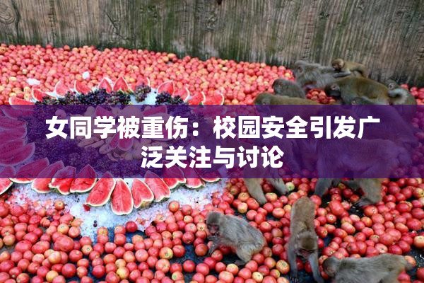 女同学被重伤：校园安全引发广泛关注与讨论