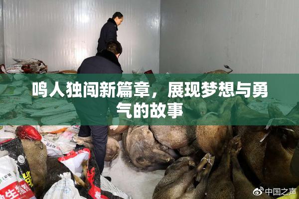 鸣人独闯新篇章，展现梦想与勇气的故事