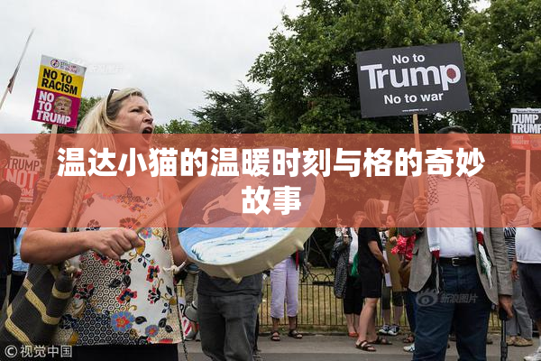 温达小猫的温暖时刻与格的奇妙故事