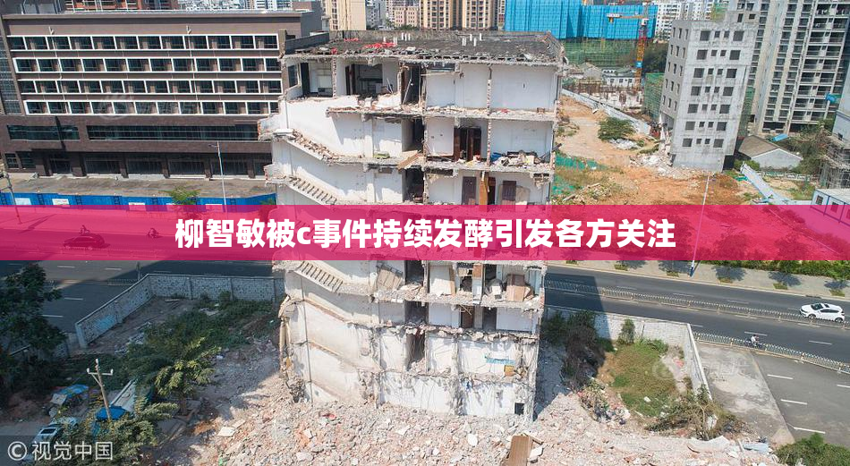 柳智敏被c事件持续发酵引发各方关注