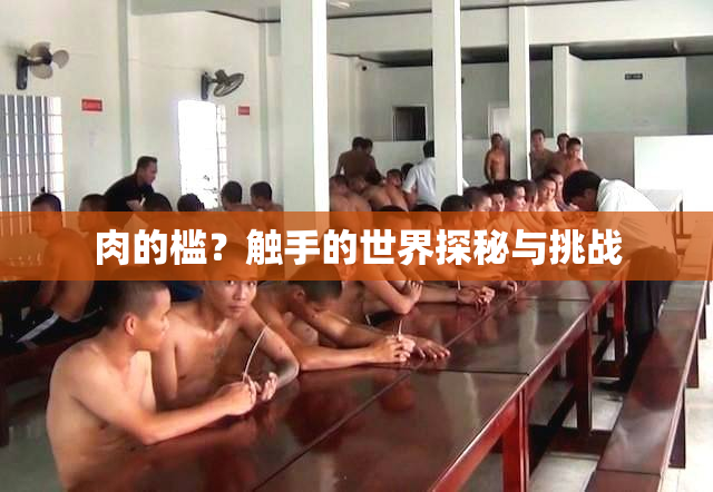 肉的槛？触手的世界探秘与挑战