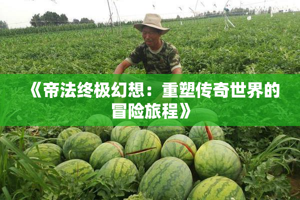 《帝法终极幻想：重塑传奇世界的冒险旅程》