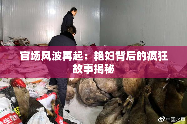 官场风波再起：艳妇背后的疯狂故事揭秘