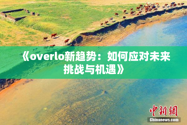 《overlo新趋势：如何应对未来挑战与机遇》