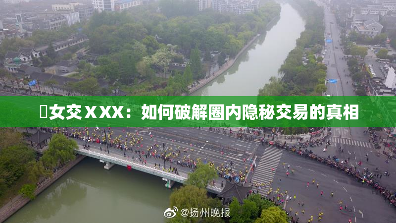 乣女交ⅩXX：如何破解圈内隐秘交易的真相